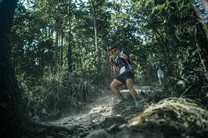 BIB: 
                            <button type="button" onclick="openModal(25989226)" class="btn btn-primary btn-sm float-right btn-popup" data-toggle="modal" data-target=".modal-high-quality">
                        <i class="fas fa-shopping-cart"></i> Add to Cart
                    </button>
                                            <button type="button" onclick="isThisMe(25989226, true)" class="btn btn-success btn-sm float-right btn-popup btn-isme hidden" data-toggle="tooltip" data-placement="bottom" title="นี่คือรูปของคุณใช่ไหม คลิกที่นี่เพื่อเอาเข้าอัลบั้ม">
                        <i class="fas fa-plus"></i> Add to album
                    </button>
                    <button type="button" onclick="isThisMe(25989226, false)" class="btn btn-warning btn-sm float-right btn-popup btn-isnotme hidden">
                        <i class="fas fa-ban"></i> Remove from album
                    </button>